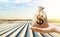 A hand holds out a dollar money bag on a background of white spunbond agrofibre rows on a farm field. Lending farmers and