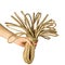 Hand holds skein jute rope as bouquet isolated on white background