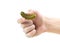 The hand holds a small pickle. Isolated on a white background