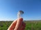 Hand holds a small unique feather of a bird in sunny day