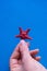 The hand holds the starfish