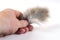 A hand holds a tuft of gray cat hair. Adult male and tangled ani