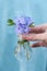 Hand holds a used light bulb filled with periwinkle flowers