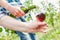 Hand holds a wine glass while pouring