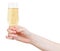 Hand holds wineglass with sparkling wine