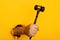 Hand holds a wooden gavel through torn yellow background. Law or auction concept