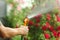 Hand hose watering flowers