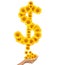 Hand idea with sunflowers money sign image.