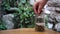 A hand inserting coins into a glass jar with more coins inside and labeled `Holidays` on a background of wood, plants and stone.