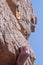 Hand of lead climber grabbing a rock with quickdraw on top in the background.