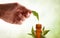 Hand with leaf and medicine drop falling into jar