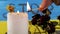 Hand Lights a Candle with a Match on Background of Yellow Blue Flag of Ukraine