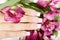 Hand with long artificial french manicured nails and lily flowers