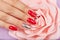 Hand with long beautiful artificial red manicured nails and pink rose flower