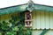 HAND MADE BIRD HOUSE HANGED ON A COOL GREEN CABIN