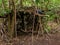 Hand made hut in a green forest. Made from local wood and some plastic bag. Concept primitive building