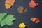 Hand-made picture of lovely leaves. Painted with yellow, green, orange, brown colors on the dark background. Autumn applique