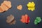 Hand-made picture of lovely leaves. Painted with yellow, green, orange, brown colors on the dark background. Autumn applique