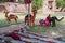 Hand made Rajasthani colourful dolls of Camel, horse and elephant displayed for sale at Mehrangarh Fort, Jodhpur, Rajasthan.