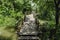 Hand made small romantic wooden bridge over the river water surrounded by trees and flowers leading to pier among river plants