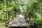 Hand made small romantic wooden bridge over the river water surrounded by trees and flowers leading to pier among river plants