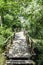 Hand made small romantic wooden bridge over the river water surrounded by trees and flowers leading to pier among river plants