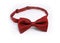 Hand maid Bow Tie