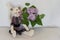 Hand maid cat and a bouquet of lilac. Sits on a light background, copy space