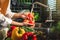 Hand of maid washing tomato fresh vegetables preparation healthy food in kitchen