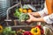 Hand of maid washing tomato fresh vegetables preparation healthy food in kitchen