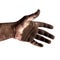 The hand of a male chimney sweep in black soot close up isolated on a white background.