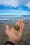 Hand Male Holding a Seashell on Virgin Mexican Beach.