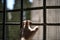 Hand of a male from a window of a Jail