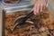 A hand of a man with barbecue tongs grabbing a bavarian sausage from the backyard grill.