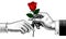 Hand of man give a red rose to woman