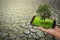 Hand of a man holding mobile phone with grass and tree on screen.