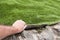 The hand of a man lifts an artificial grass cover