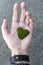 The hand of a man with an open palm with slightly bent fingers on which lies the moss in the form of a heart of green color