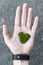 The hand of a man with an open palm on which lies the moss in the form of a heart of green color