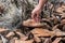 Hand with many rocks on the ground.