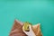 A hand in a medical glove holds canned food, next to it are packages of cereals on a blue background