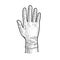 Hand in medical glove sketch vector illustration