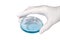 Hand in medical latex glove with petri dish