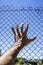 Hand on a metal fence. Border, prison, illegal migration concept.