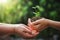 hand of mother and children holding young tree for planting