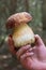 Hand with a Mushroom Pine Bolete