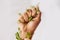 Hand, nature growth and holding fist for eco warrior, fight and revolution for sustainability protest. White background