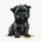 Hand-painted Affenpinscher Puppy in Watercolor AI Generated