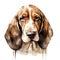 Hand Painted Basset Hound Dog Watercolor