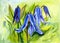 Hand-painted Bluebells flowers. Watercolor blue flowers, and green leaves. Watercolour floral illustration